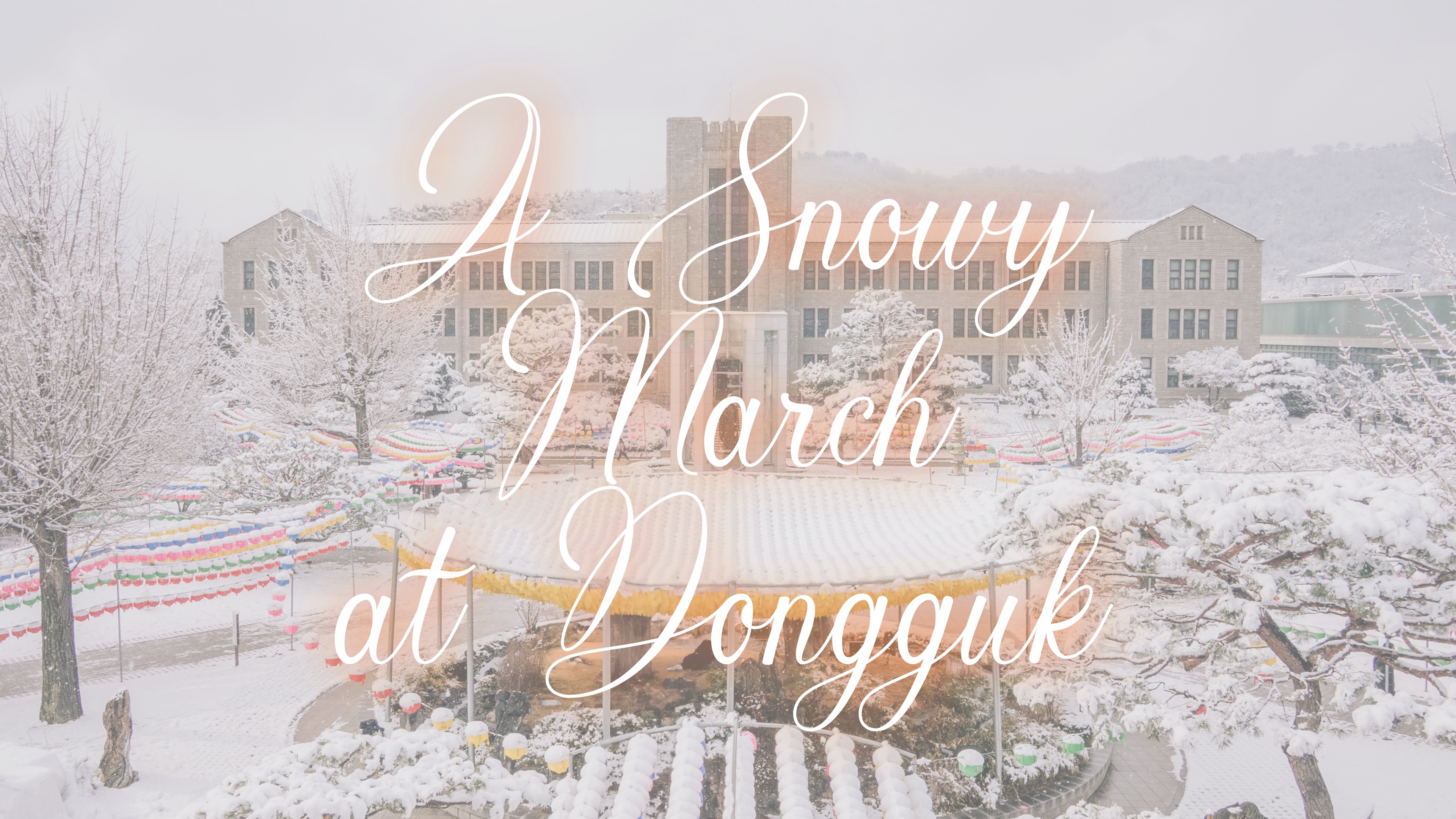 3월, 팔정도에 내린 눈❄️ I A Snowy March at Dongguk
