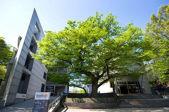 Haksul Hall and Munhwa Hall